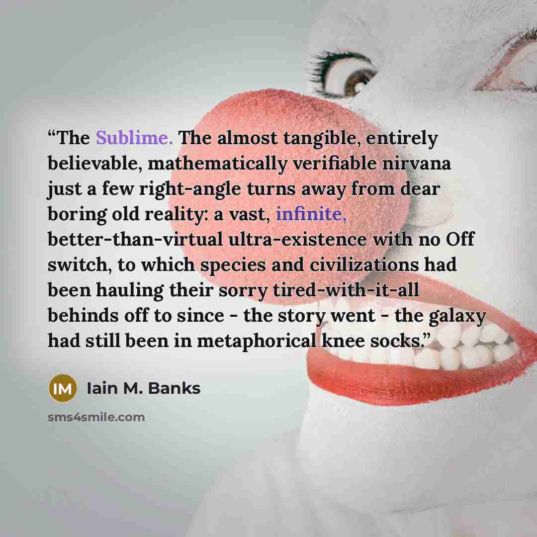 “The Sublime. The almost tangible, entirely believable, mathematically verifiable nirvana just a few right-angle turns away from dear boring old reality: a vast, infinite, better-than-virtual ultra-existence with no Off switch, to which species and civilizations had been hauling their sorry…” quote by Iain M. Banks