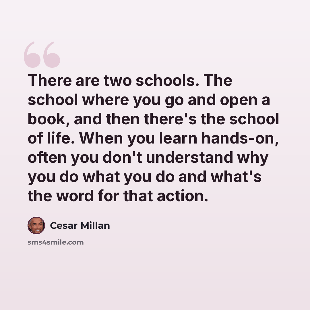 “There are two schools. The school where you go and open a book, and then there's the school of life. When you learn hands-on, often you don't understand why you do what you do and what's the word for that action.” quote by Cesar Millan