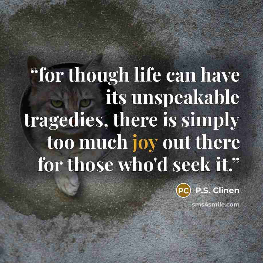 “for though life can have its unspeakable tragedies, there is simply too much joy out there for those who'd seek it.” quote by P.S. Clinen