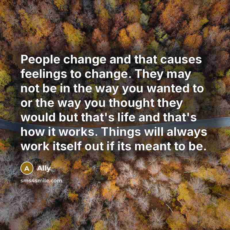 “People change and that causes feelings to change. They may not be in the way you wanted to or the way you thought they would but that's life and that's how it works. Things will always work itself out if its meant to be.” quote by Ally