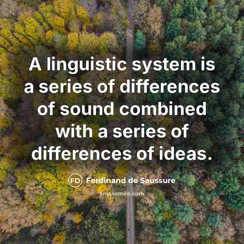 “A linguistic system is a series of differences of sound combined with a series of differences of ideas.” quote by Ferdinand de Saussure