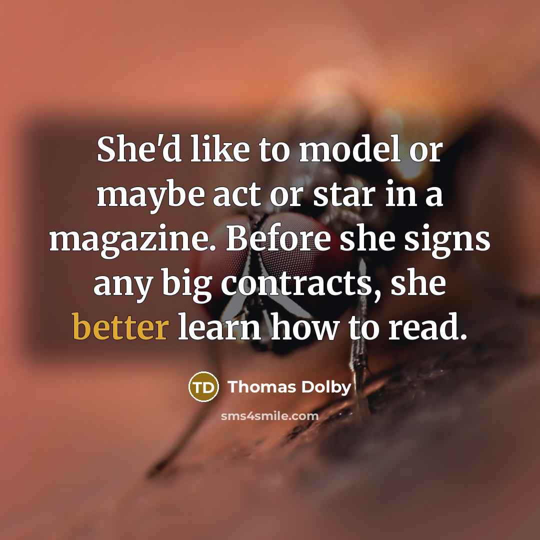 “She'd like to model or maybe act or star in a magazine. Before she signs any big contracts, she better learn how to read.” quote by Thomas Dolby