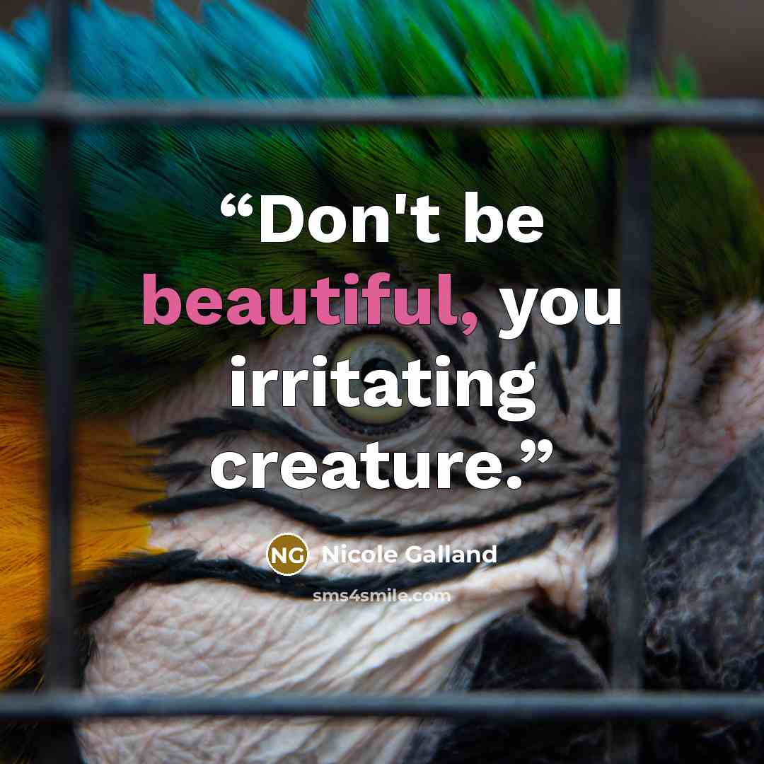 “Don't be beautiful, you irritating creature.” quote by Nicole Galland