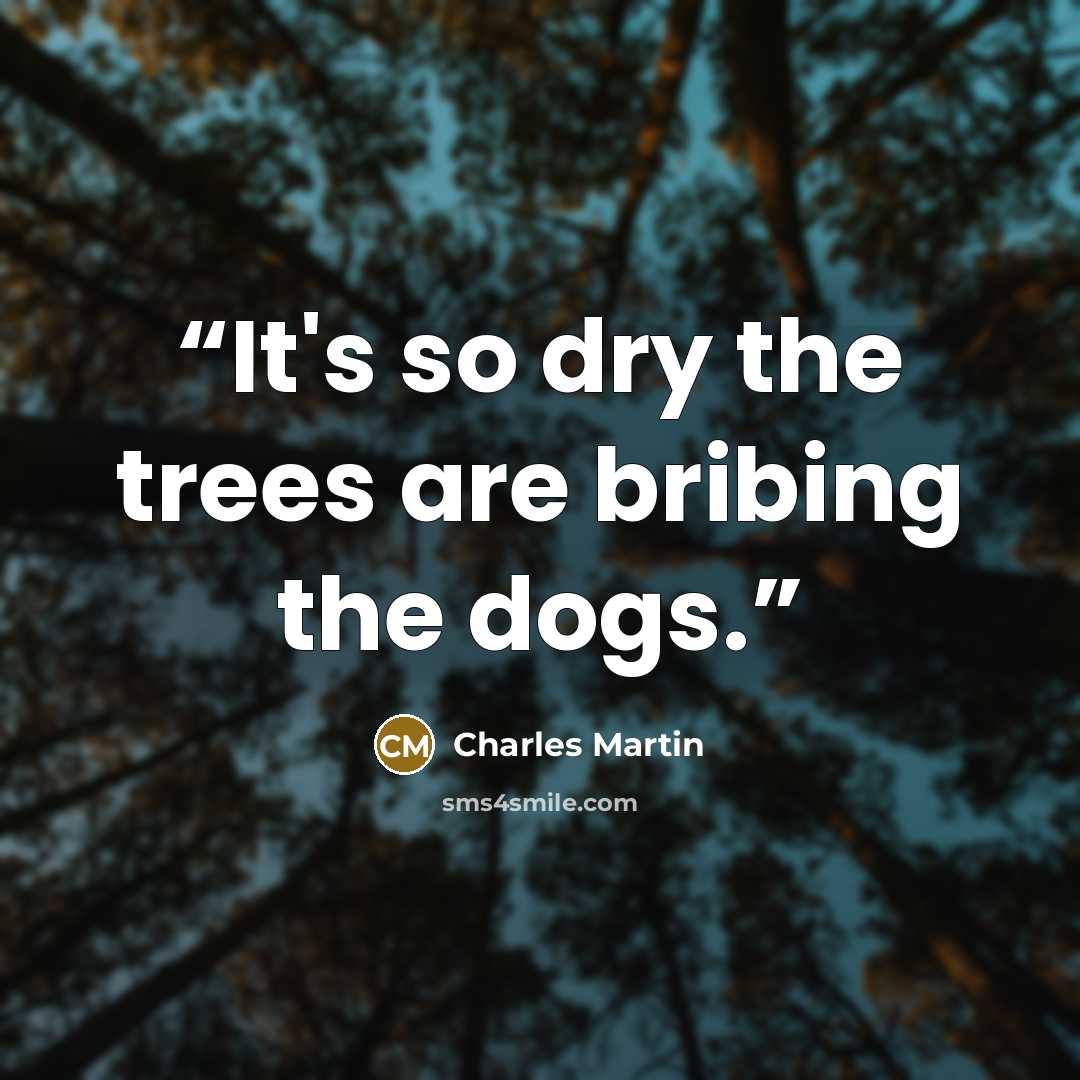 “It's so dry the trees are bribing the dogs.” quote by Charles Martin