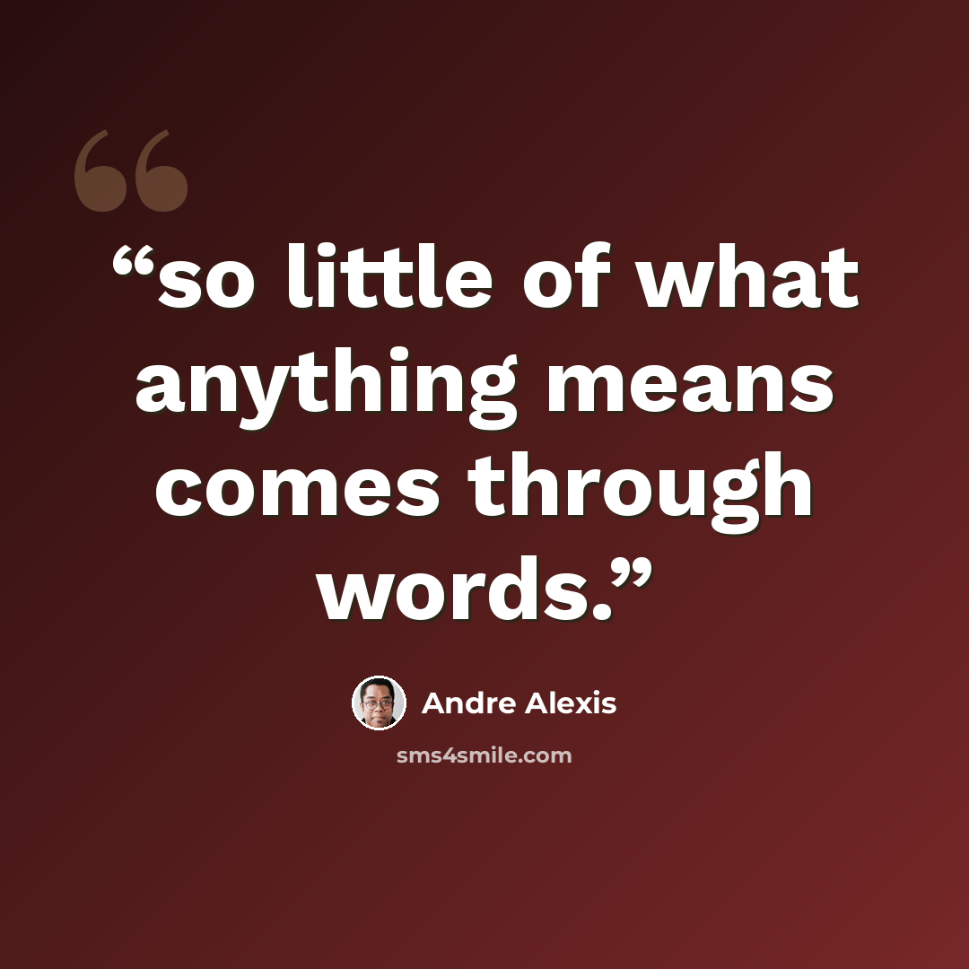“so little of what anything means comes through words.” quote by Andre Alexis