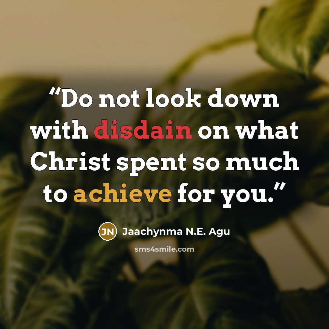 “Do not look down with disdain on what Christ spent so much to achieve for you.” quote by Jaachynma N.E. Agu