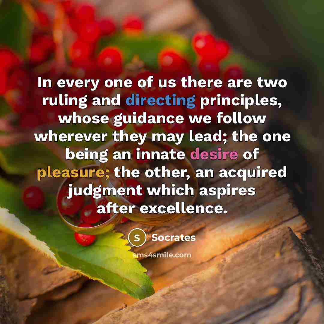 “In every one of us there are two ruling and directing principles, whose guidance we follow wherever they may lead; the one being an innate desire of pleasure; the other, an acquired judgment which aspires after excellence.” quote by Socrates