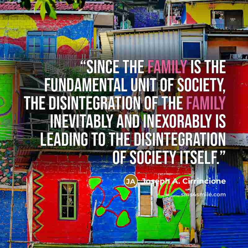 “Since the family is the fundamental unit of society, the disintegration of the family inevitably and inexorably is leading to the disintegration of society itself.” quote by Joseph A. Cirrincione