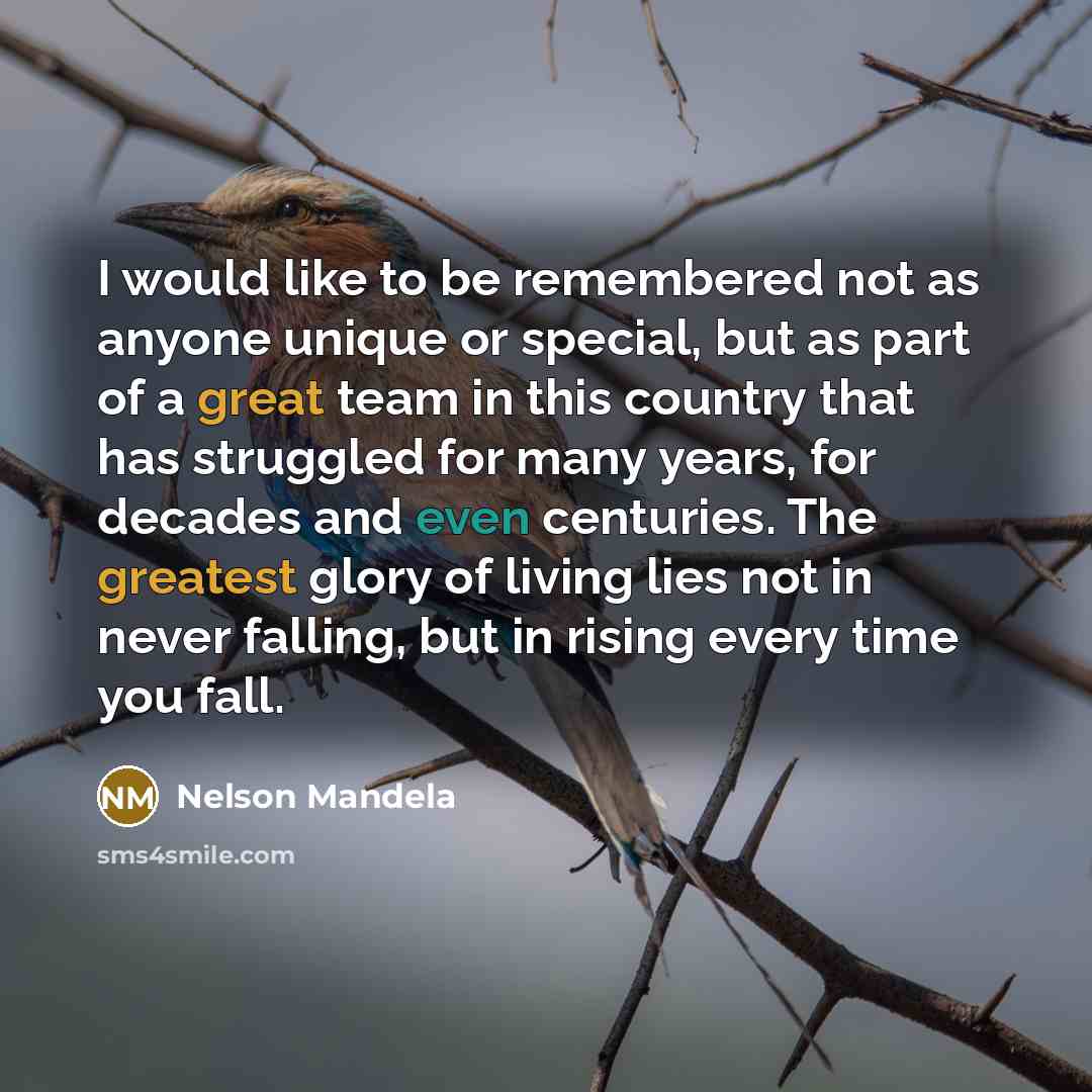 “I would like to be remembered not as anyone unique or special, but as part of a great team in this country that has struggled for many years, for decades and even centuries. The greatest glory of living lies not in never falling, but in rising every time you fall.” quote by Nelson Mandela