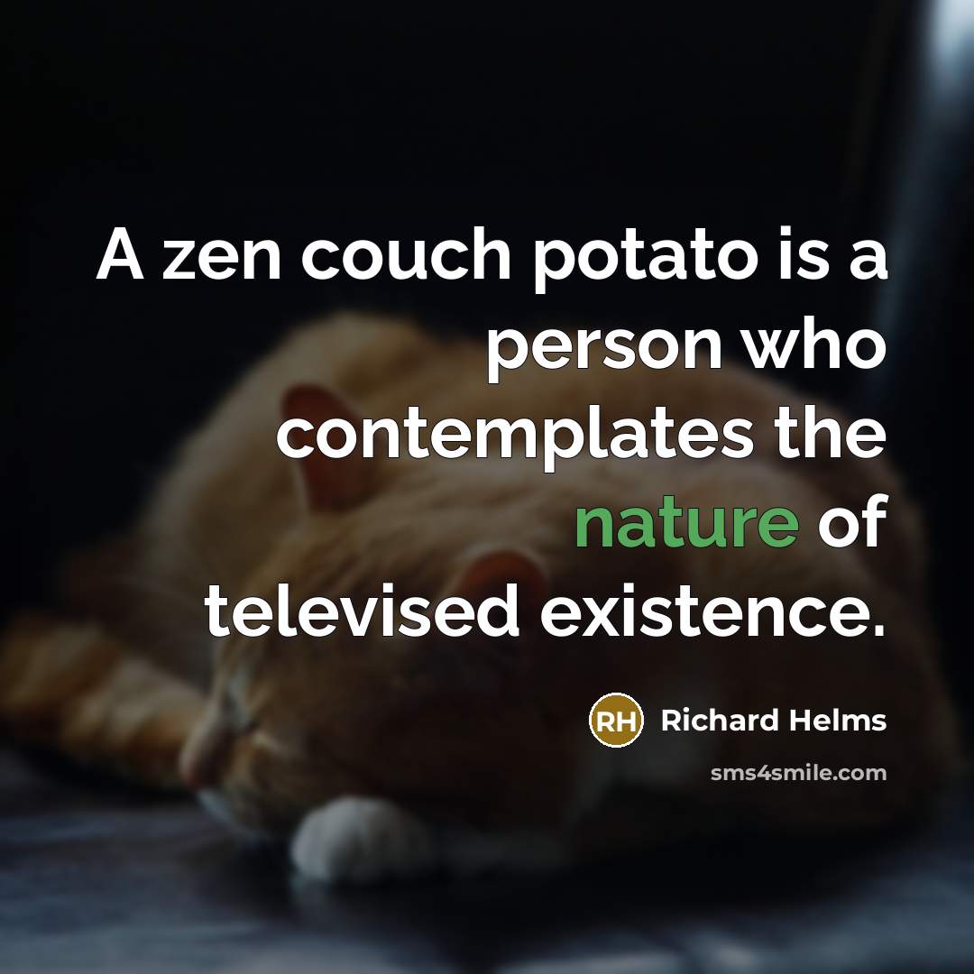 “A zen couch potato is a person who contemplates the nature of televised existence.” quote by Richard Helms
