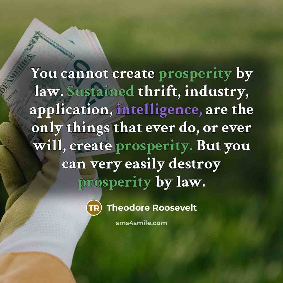 “You cannot create prosperity by law. Sustained thrift, industry, application, intelligence, are the only things that ever do, or ever will, create prosperity. But you can very easily destroy prosperity by law.” quote by Theodore Roosevelt