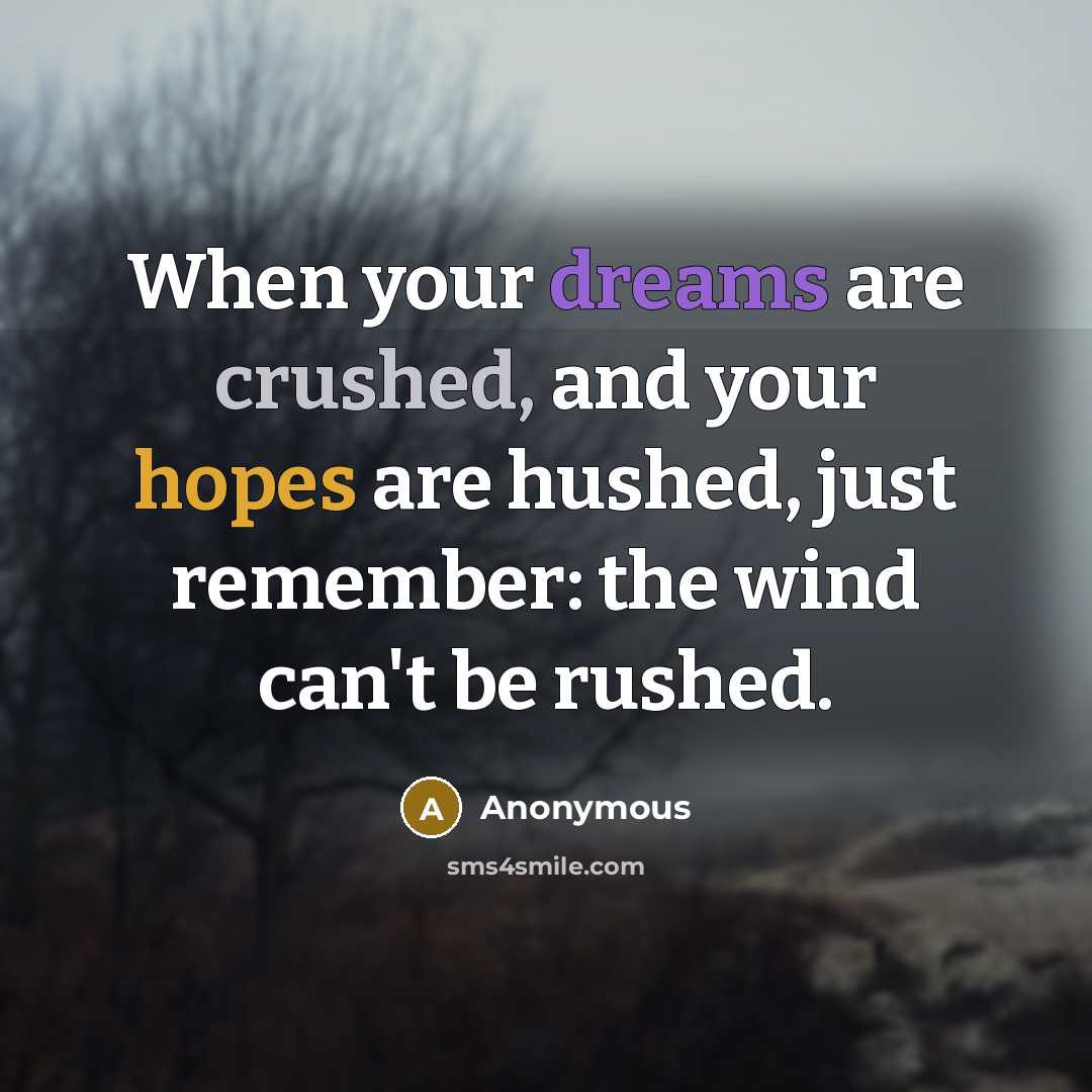 “When your dreams are crushed, and your hopes are hushed, just remember: the wind can't be rushed.” quote by Anonymous