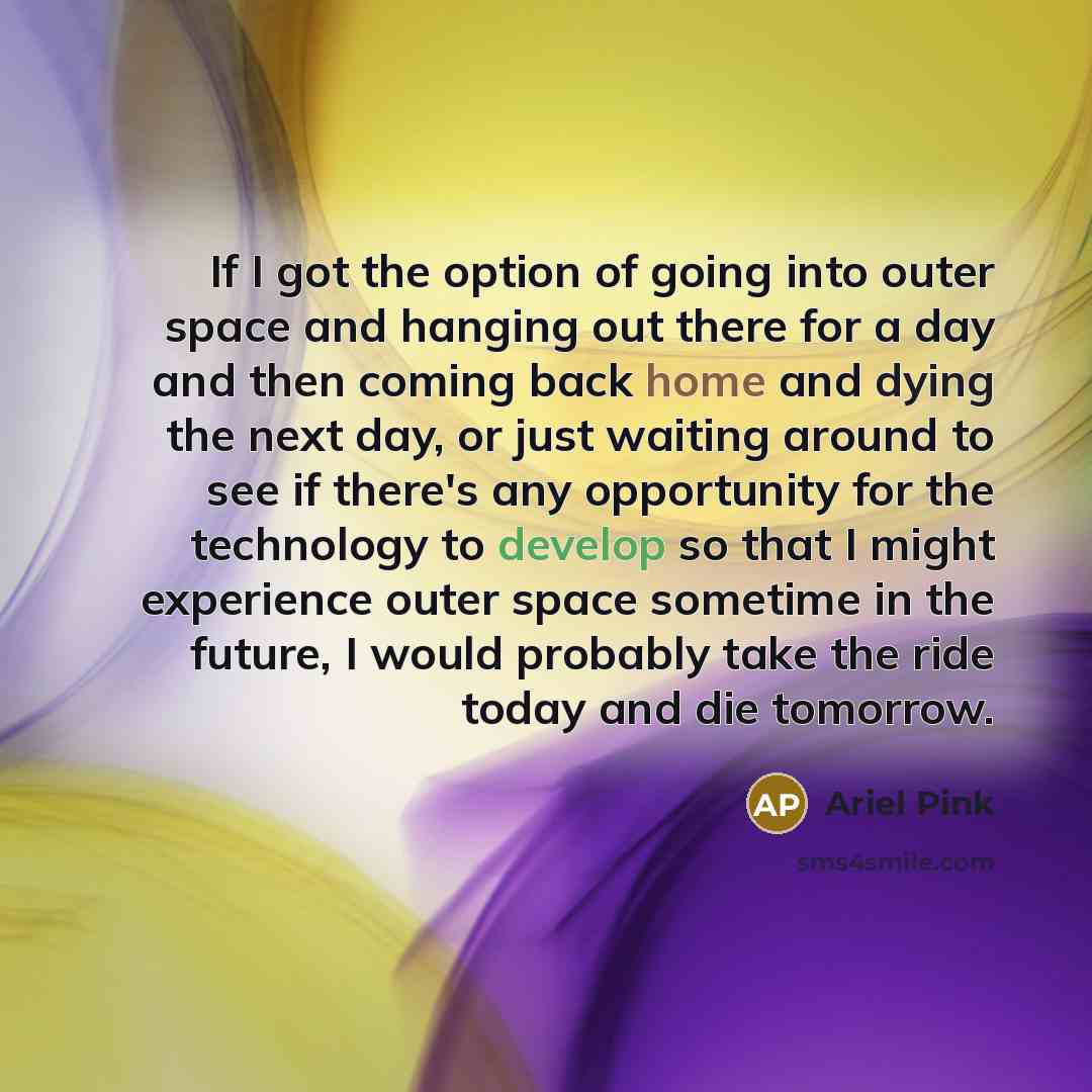 “If I got the option of going into outer space and hanging out there for a day and then coming back home and dying the next day, or just waiting around to see if there's any opportunity for the technology to develop so that I might experience outer space sometime in the future, I would probably…” quote by Ariel Pink