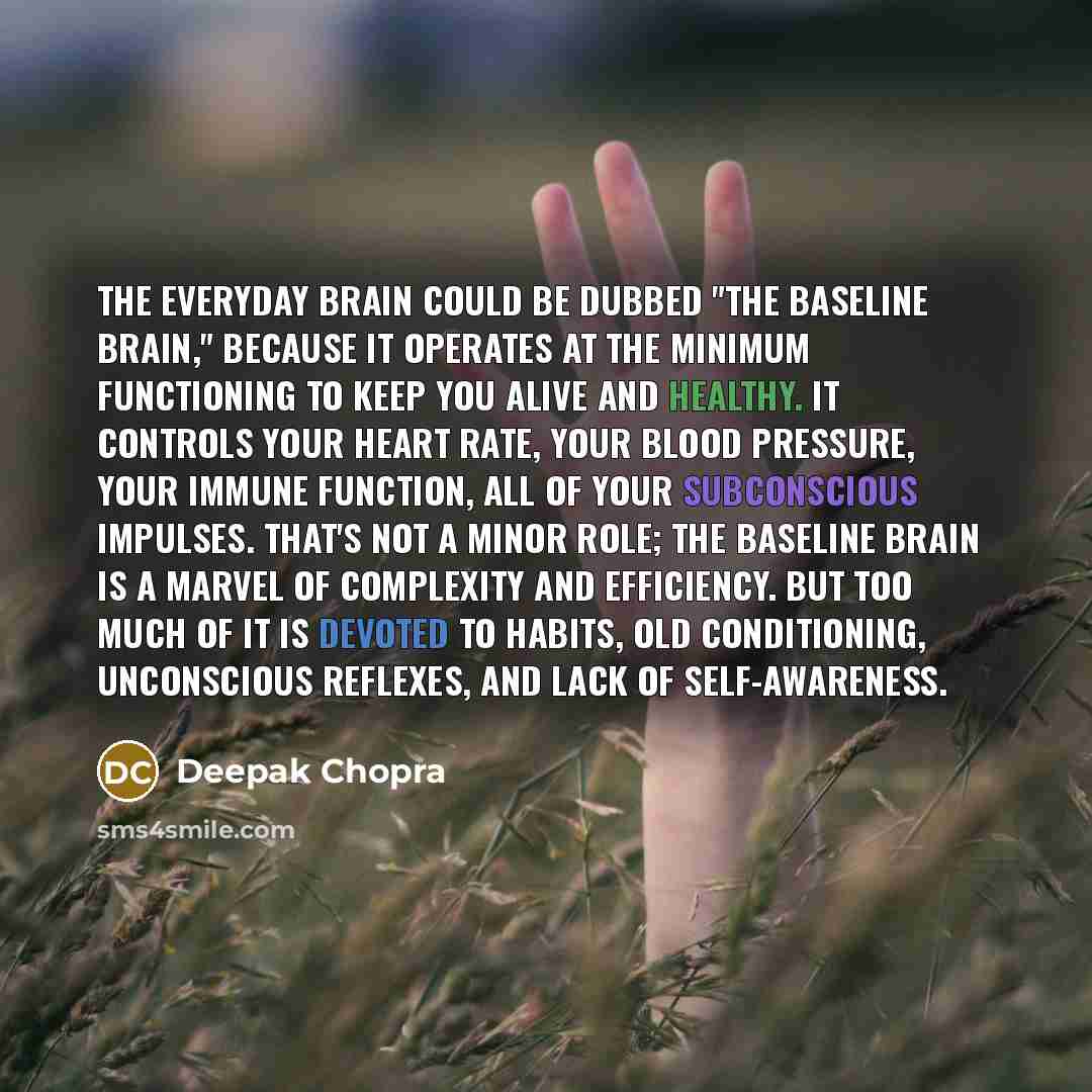 “The everyday brain could be dubbed "the baseline brain," because it operates at the minimum functioning to keep you alive and healthy. It controls your heart rate, your blood pressure, your immune function, all of your subconscious impulses. That's not a minor role; the baseline brain is a marvel…” quote by Deepak Chopra