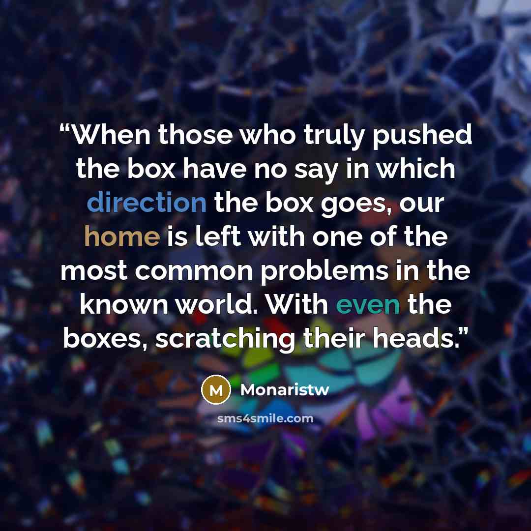 “When those who truly pushed the box have no say in which direction the box goes, our home is left with one of the most common problems in the known world. With even the boxes, scratching their heads.” quote by Monaristw