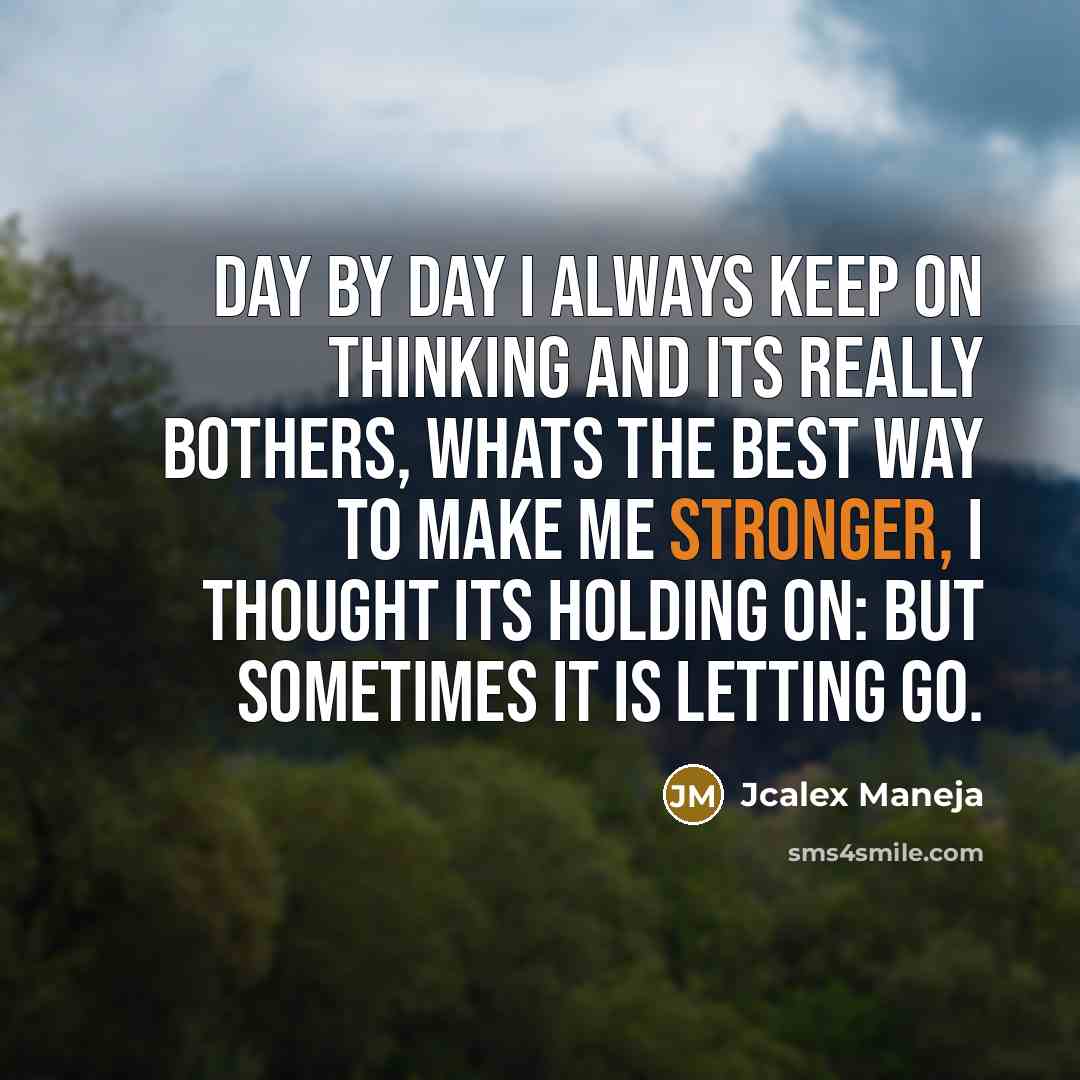 “Day by day I always keep on thinking and its really bothers, whats the best way TO MAKE ME STRONGER, I thought its HOLDING ON: But sometimes it is LETTING GO.” quote by Jcalex Maneja