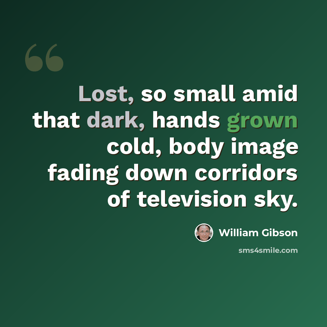 “Lost, so small amid that dark, hands grown cold, body image fading down corridors of television sky.” quote by William Gibson