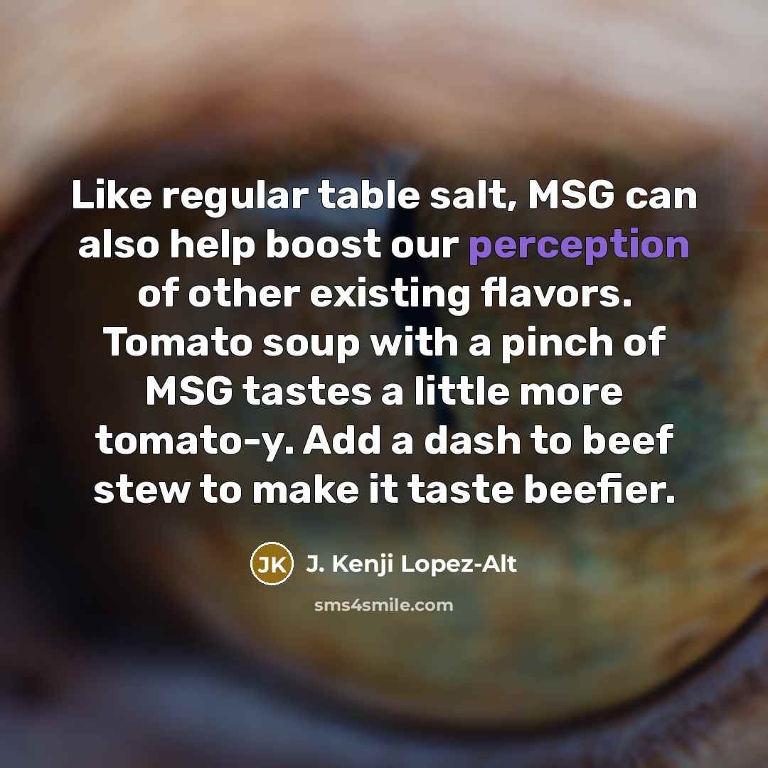 “Like regular table salt, MSG can also help boost our perception of other existing flavors. Tomato soup with a pinch of MSG tastes a little more tomato-y. Add a dash to beef stew to make it taste beefier.” quote by J. Kenji Lopez-Alt