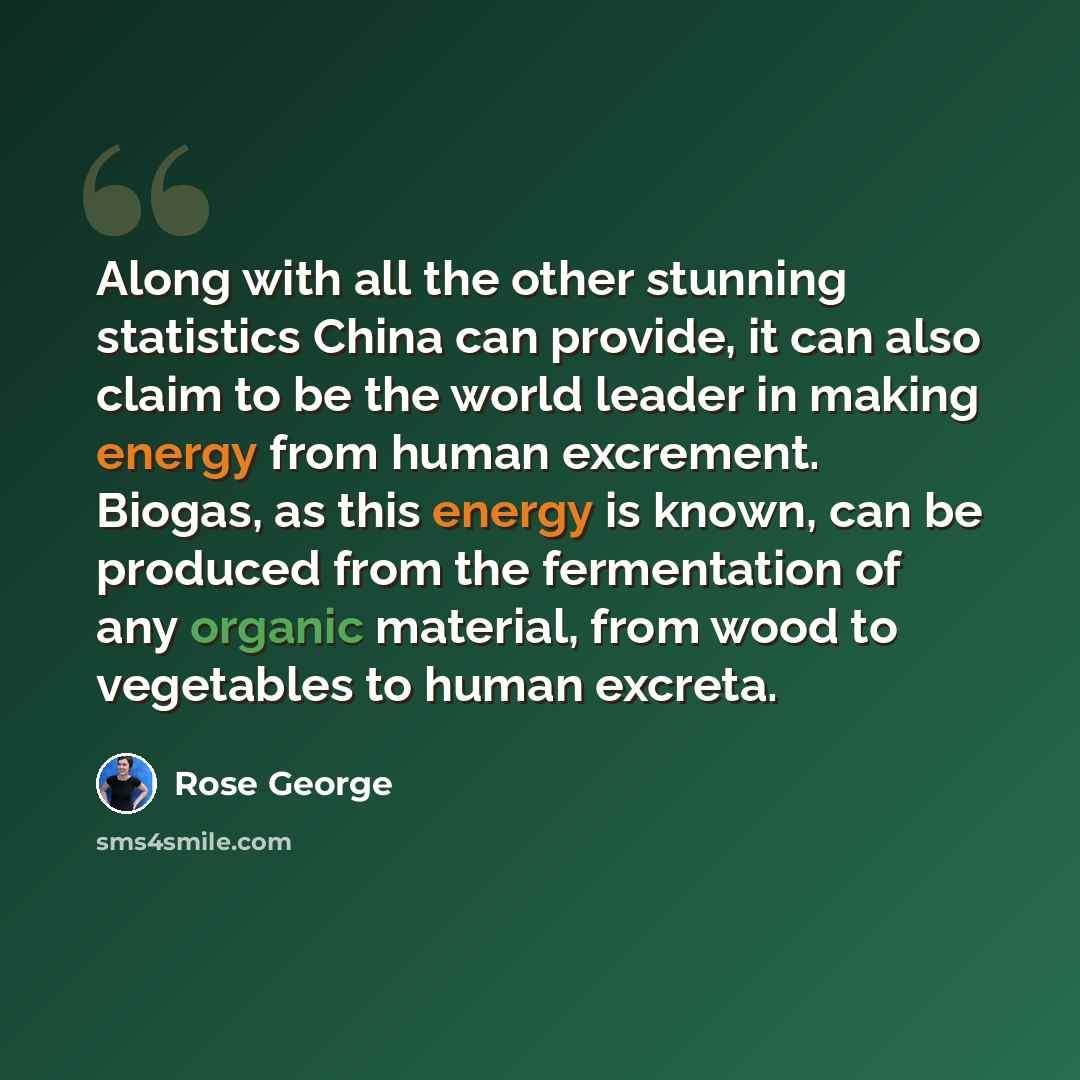 “Along with all the other stunning statistics China can provide, it can also claim to be the world leader in making energy from human excrement. Biogas, as this energy is known, can be produced from the fermentation of any organic material, from wood to vegetables to human excreta.” quote by Rose George