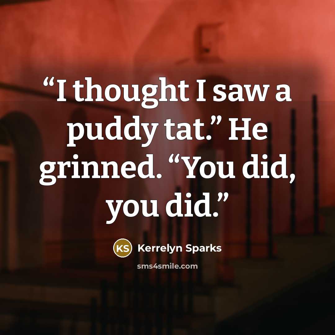 “I thought I saw a puddy tat.” He grinned. “You did, you did.” quote by Kerrelyn Sparks