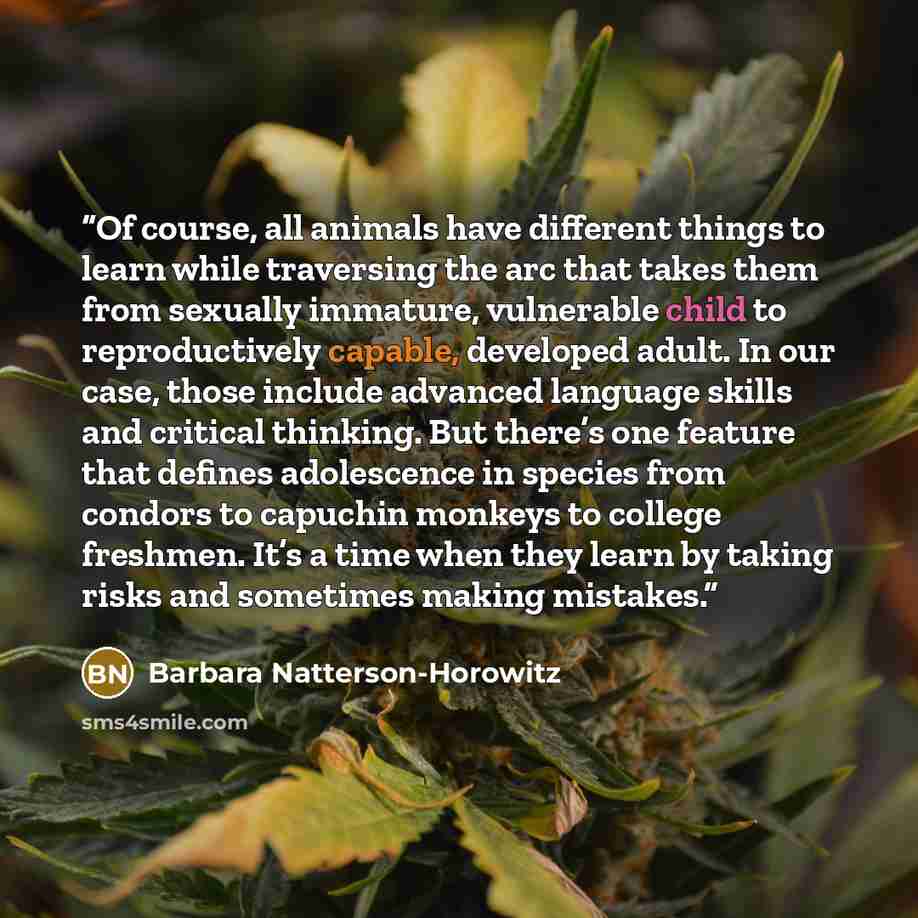 “Of course, all animals have different things to learn while traversing the arc that takes them from sexually immature, vulnerable child to reproductively capable, developed adult. In our case, those include advanced language skills and critical thinking. But there’s one feature that defines…” quote by Barbara Natterson-Horowitz