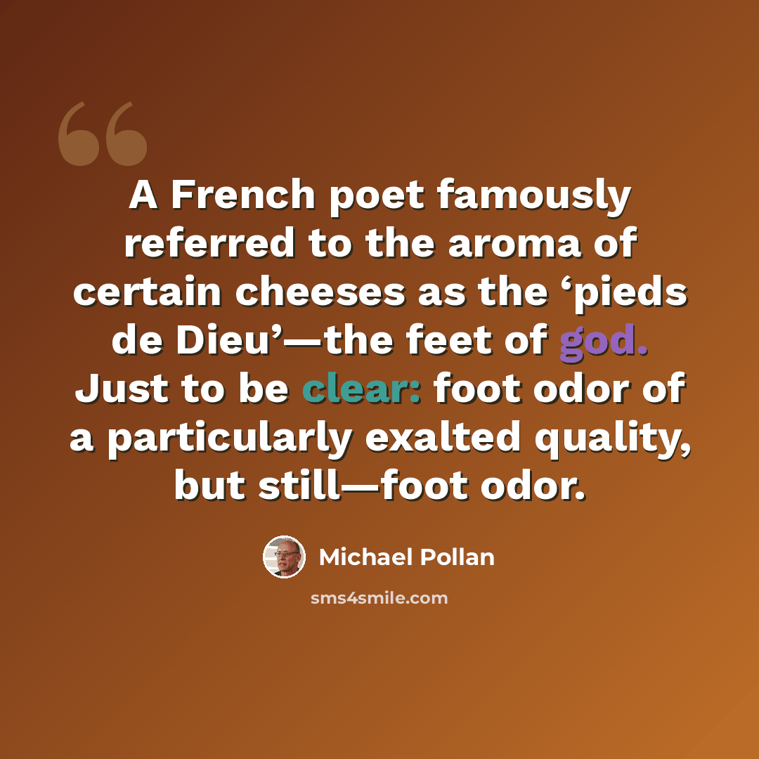 “A French poet famously referred to the aroma of certain cheeses as the ‘pieds de Dieu’—the feet of god. Just to be clear: foot odor of a particularly exalted quality, but still—foot odor.” quote by Michael Pollan