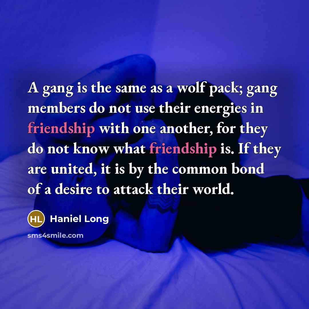 “A gang is the same as a wolf pack; gang members do not use their energies in friendship with one another, for they do not know what friendship is. If they are united, it is by the common bond of a desire to attack their world.” quote by Haniel Long