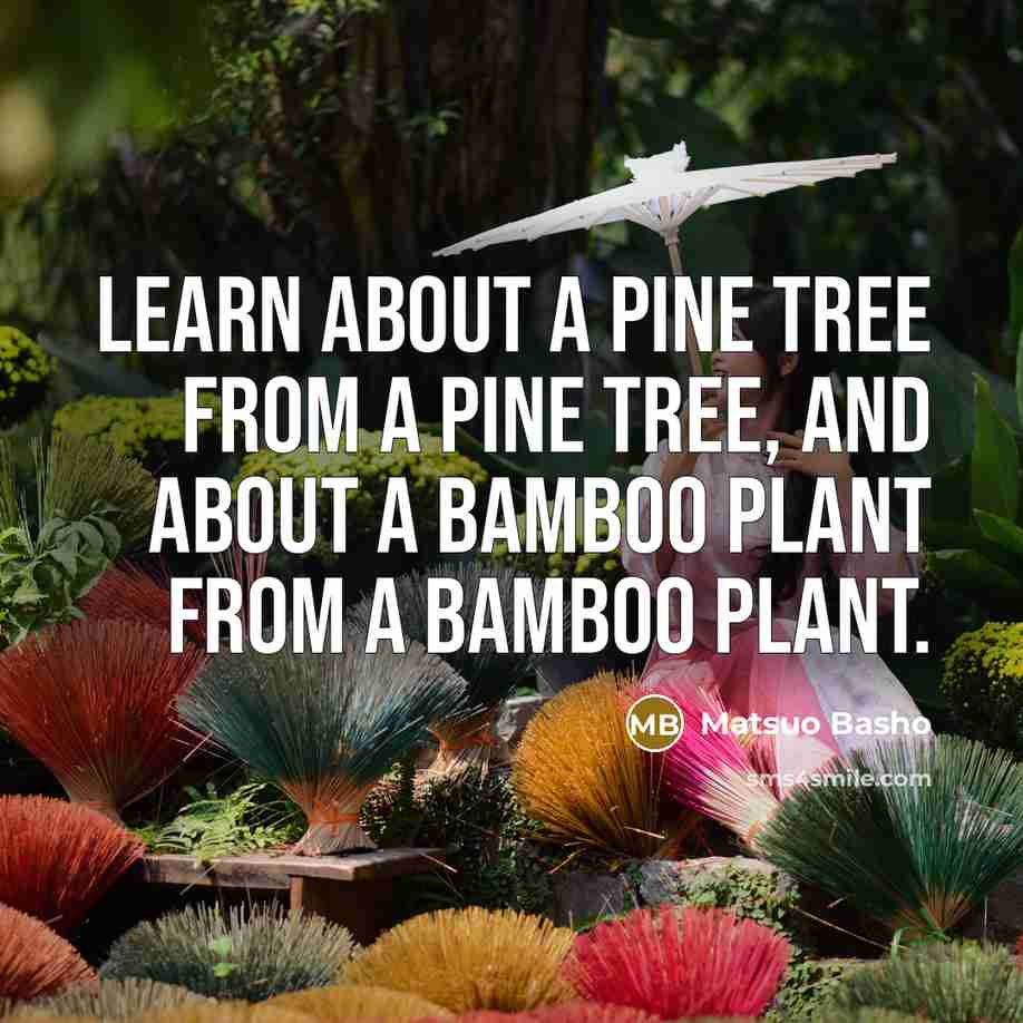 “Learn about a pine tree from a pine tree, and about a bamboo plant from a bamboo plant.” quote by Matsuo Basho