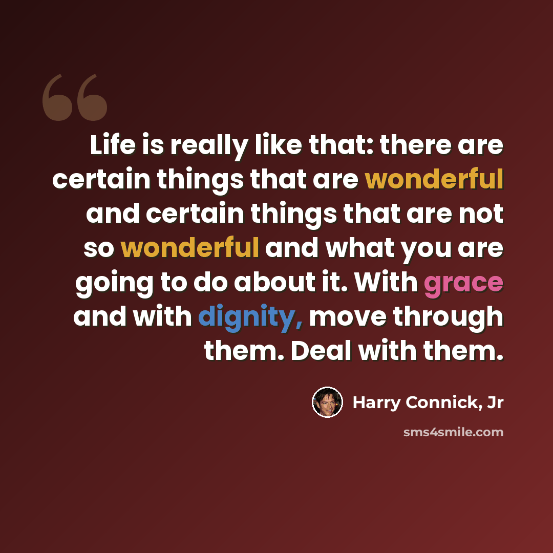 “Life is really like that: there are certain things that are wonderful and certain things that are not so wonderful and what you are going to do about it. With grace and with dignity, move through them. Deal with them.” quote by Harry Connick, Jr