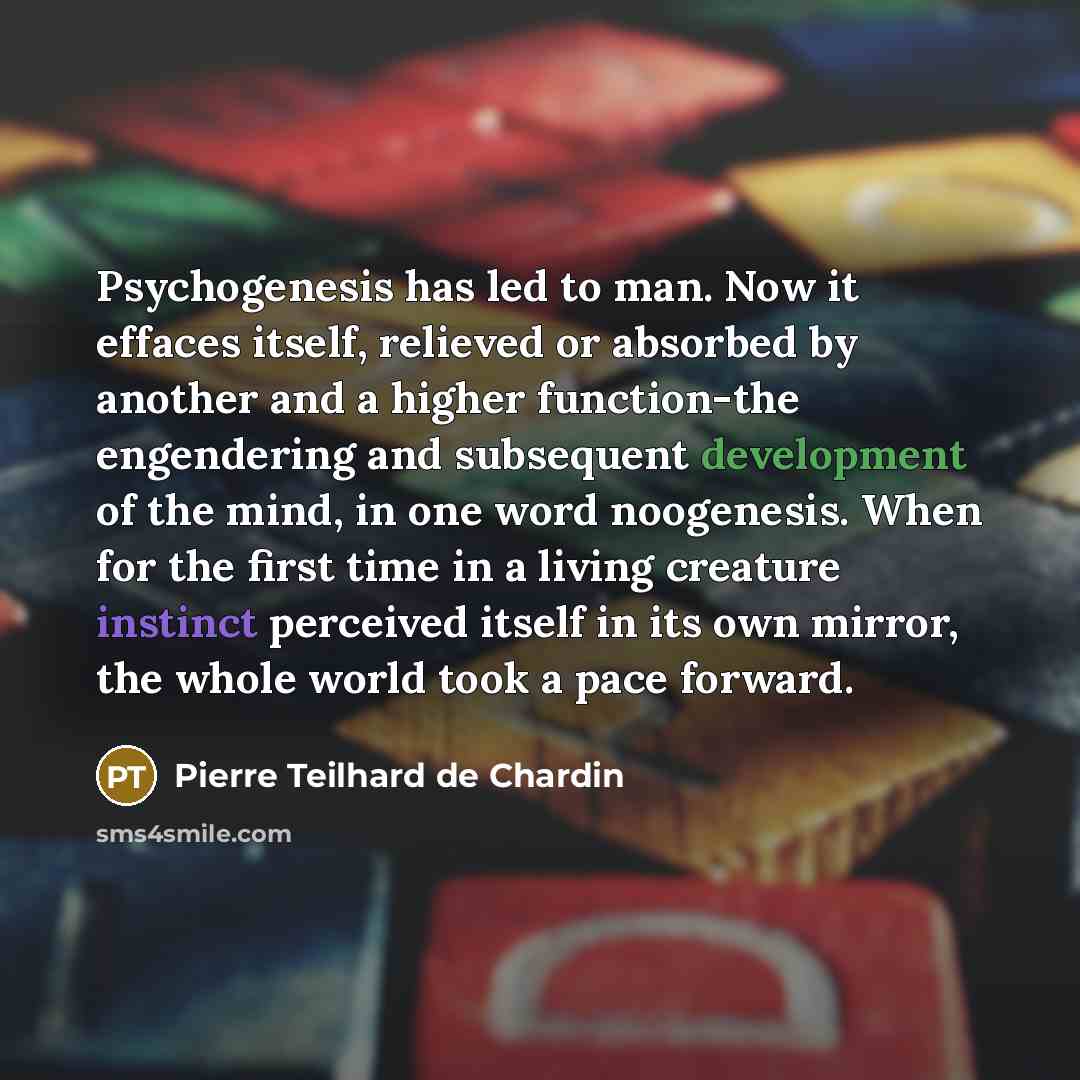 “Psychogenesis has led to man. Now it effaces itself, relieved or absorbed by another and a higher function-the engendering and subsequent development of the mind, in one word noogenesis. When for the first time in a living creature instinct perceived itself in its own mirror, the whole world took…” quote by Pierre Teilhard de Chardin