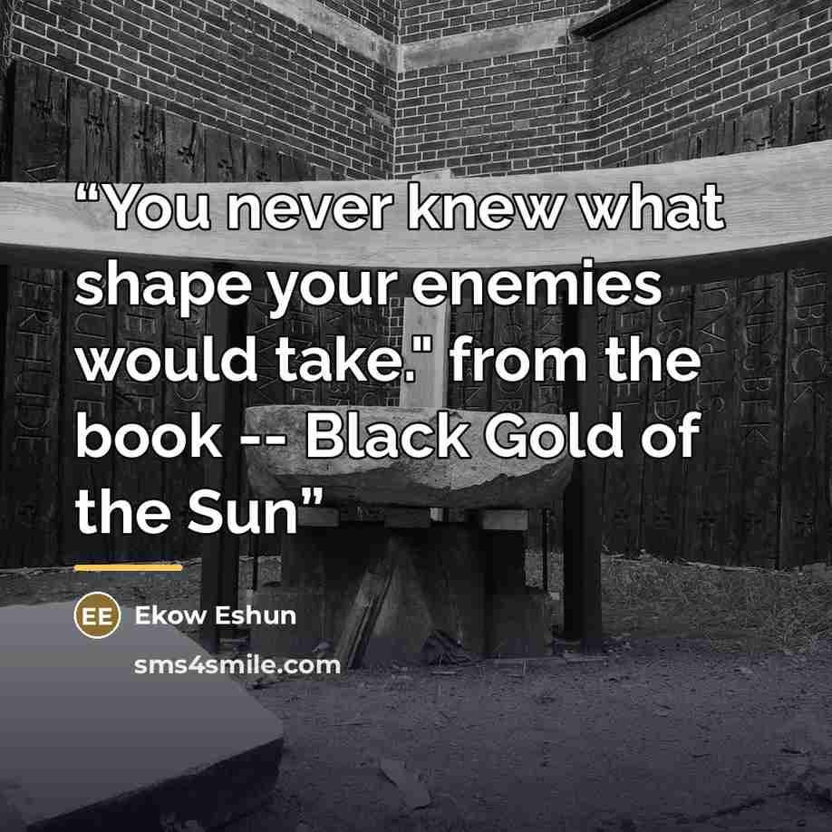 “You never knew what shape your enemies would take." from the book -- Black Gold of the Sun” quote by Ekow Eshun