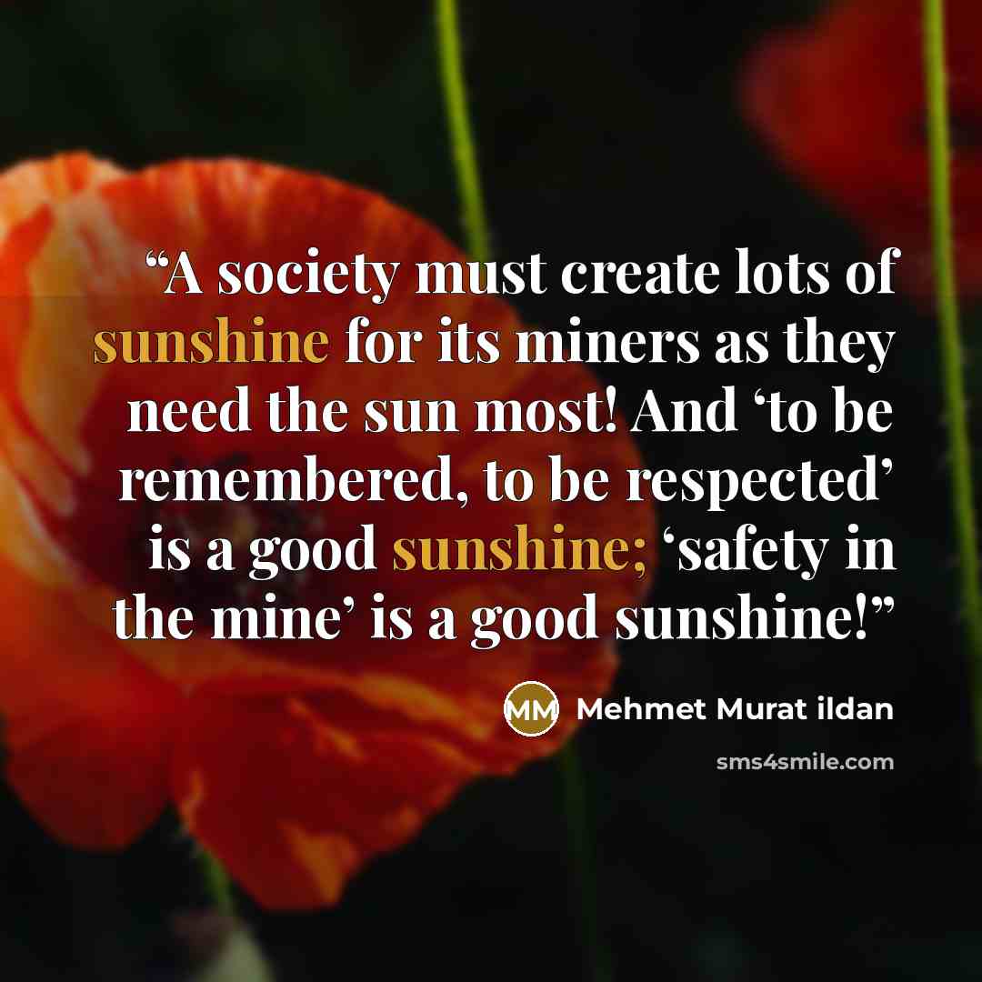“A society must create lots of sunshine for its miners as they need the sun most! And ‘to be remembered, to be respected’ is a good sunshine; ‘safety in the mine’ is a good sunshine!” quote by Mehmet Murat ildan