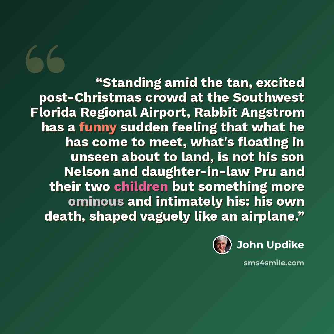 “Standing amid the tan, excited post-Christmas crowd at the Southwest Florida Regional Airport, Rabbit Angstrom has a funny sudden feeling that what he has come to meet, what's floating in unseen about to land, is not his son Nelson and daughter-in-law Pru and their two children but something more…” quote by John Updike