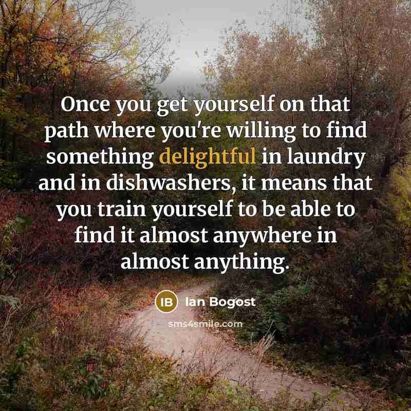 “Once you get yourself on that path where you're willing to find something delightful in laundry and in dishwashers, it means that you train yourself to be able to find it almost anywhere in almost anything.” quote by Ian Bogost
