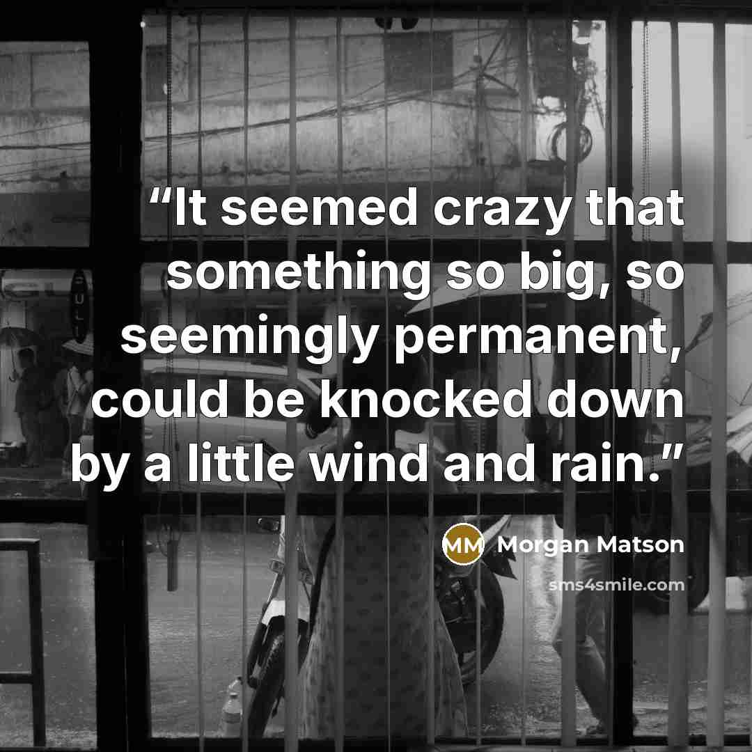 “It seemed crazy that something so big, so seemingly permanent, could be knocked down by a little wind and rain.” quote by Morgan Matson