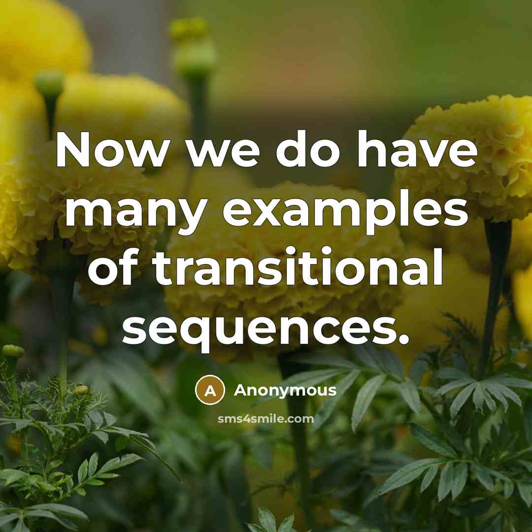 “Now we do have many examples of transitional sequences.” quote by Anonymous