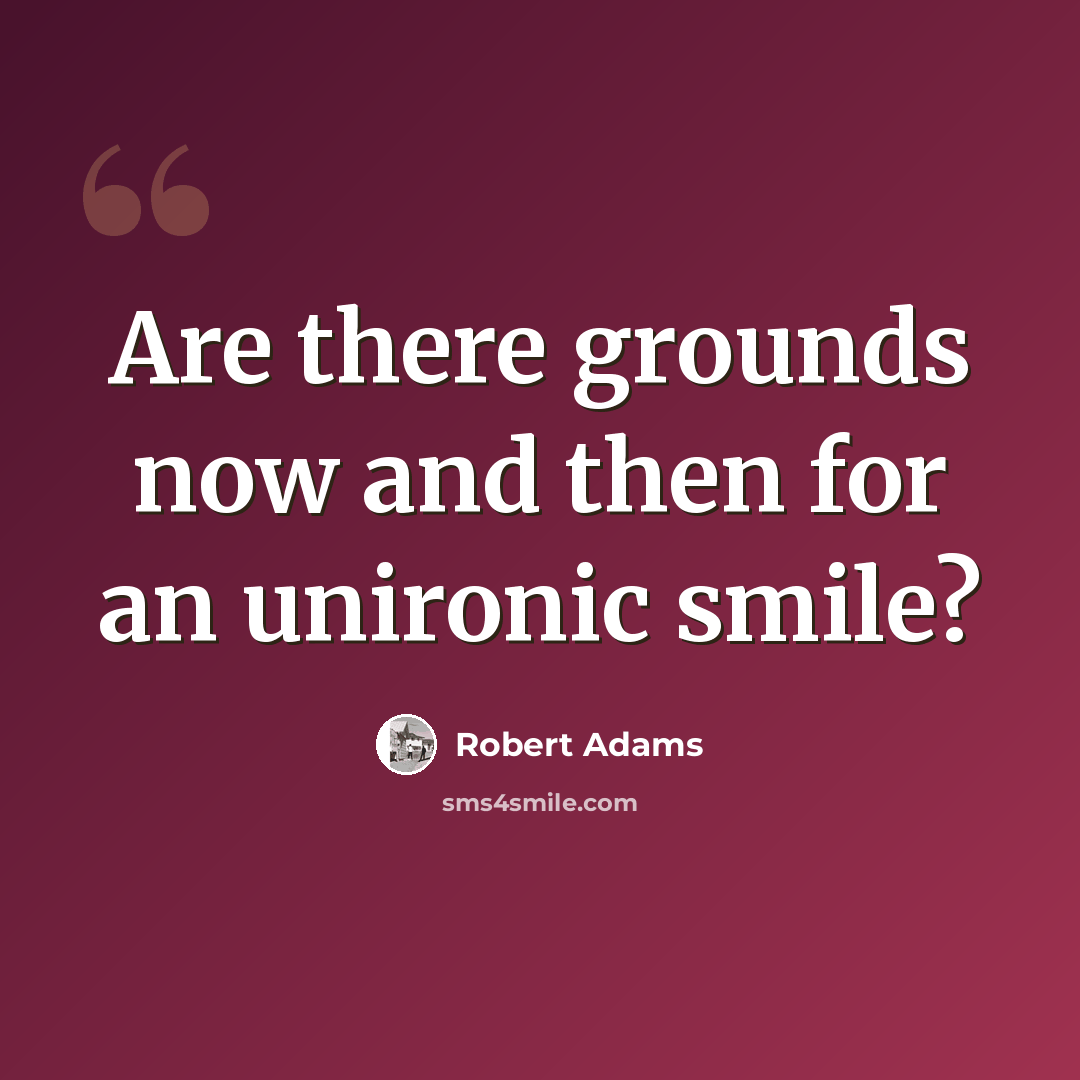 “Are there grounds now and then for an unironic smile?” quote by Robert Adams