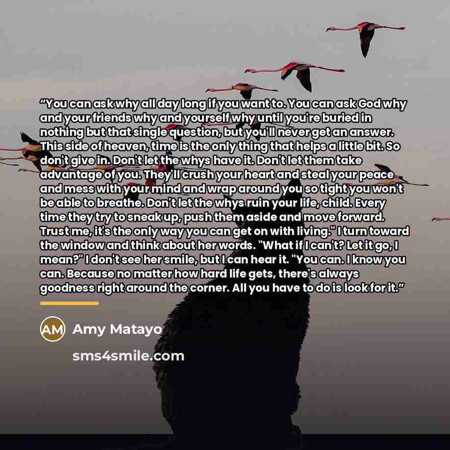 “You can ask why all day long if you want to. You can ask God why and your friends why and yourself why until you're buried in nothing but that single question, but you'll never get an answer. This side of heaven, time is the only thing that helps a little bit. So don't give in. Don't let the whys…” quote by Amy Matayo