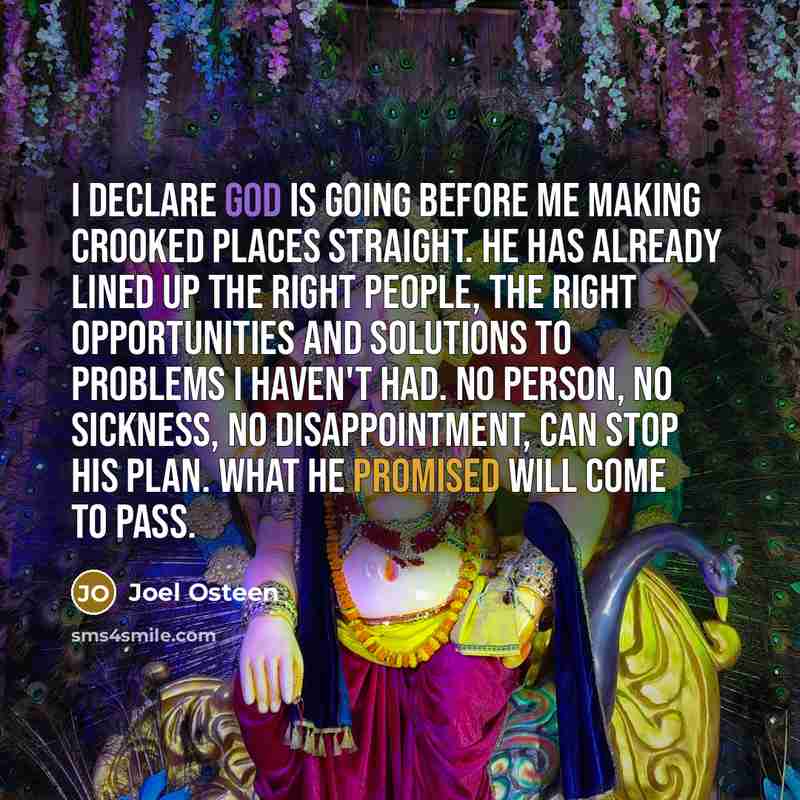 “I DECLARE God is going before me making crooked places straight. He has already lined up the right people, the right opportunities and solutions to problems I haven't had. No person, no sickness, no disappointment, can stop His plan. What he promised will come to pass.” quote by Joel Osteen