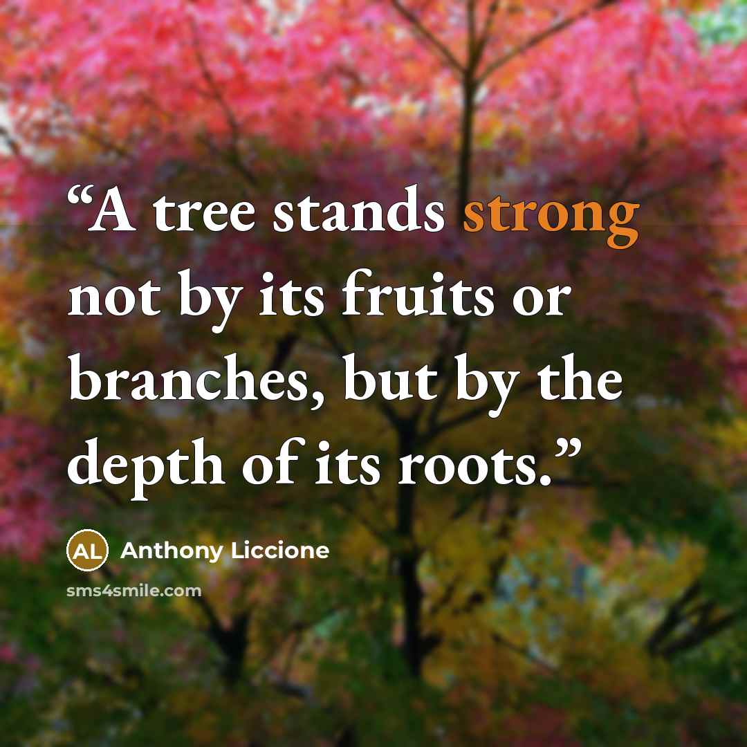 “A tree stands strong not by its fruits or branches, but by the depth of its roots.” quote by Anthony Liccione