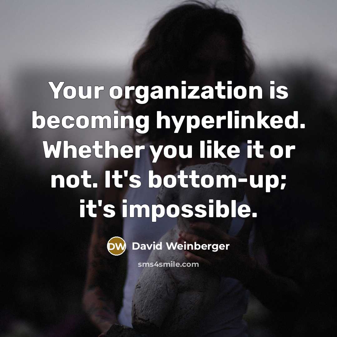 “Your organization is becoming hyperlinked. Whether you like it or not. It's bottom-up; it's impossible.” quote by David Weinberger