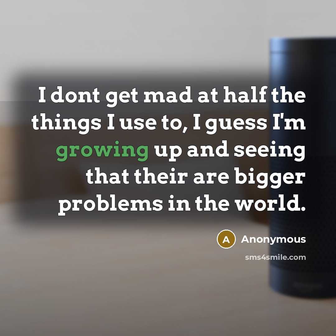 “I dont get mad at half the things I use to, I guess I'm growing up and seeing that their are bigger problems in the world.” quote by Anonymous