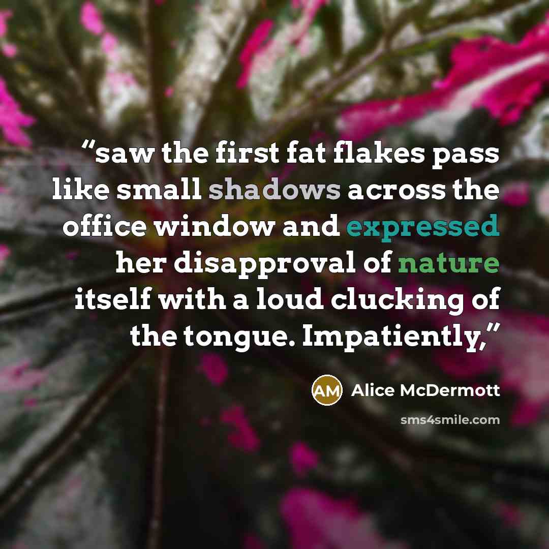 “saw the first fat flakes pass like small shadows across the office window and expressed her disapproval of nature itself with a loud clucking of the tongue. Impatiently,” quote by Alice McDermott