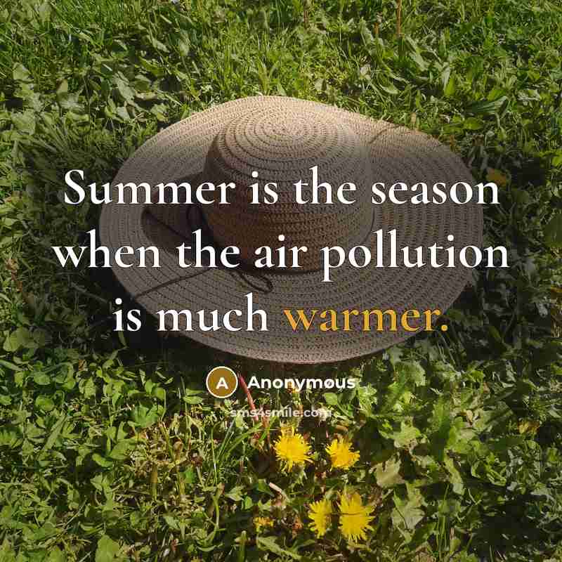 “Summer is the season when the air pollution is much warmer.” quote by Anonymous