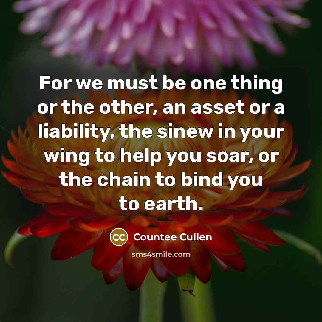 “For we must be one thing or the other, an asset or a liability, the sinew in your wing to help you soar, or the chain to bind you to earth.” quote by Countee Cullen
