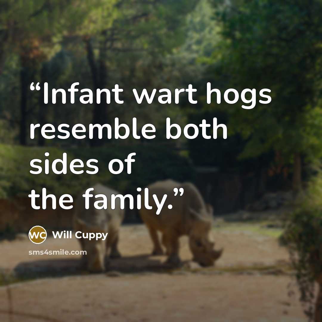 “Infant wart hogs resemble both sides of the family.” quote by Will Cuppy