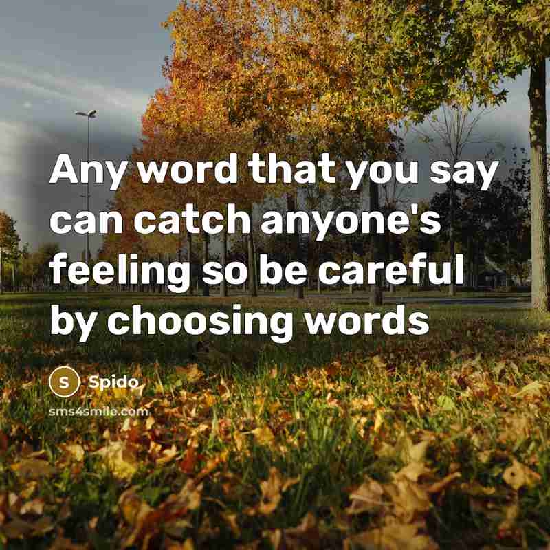 “Any word that you say can catch anyone's feeling so be careful by choosing words” quote by Spido