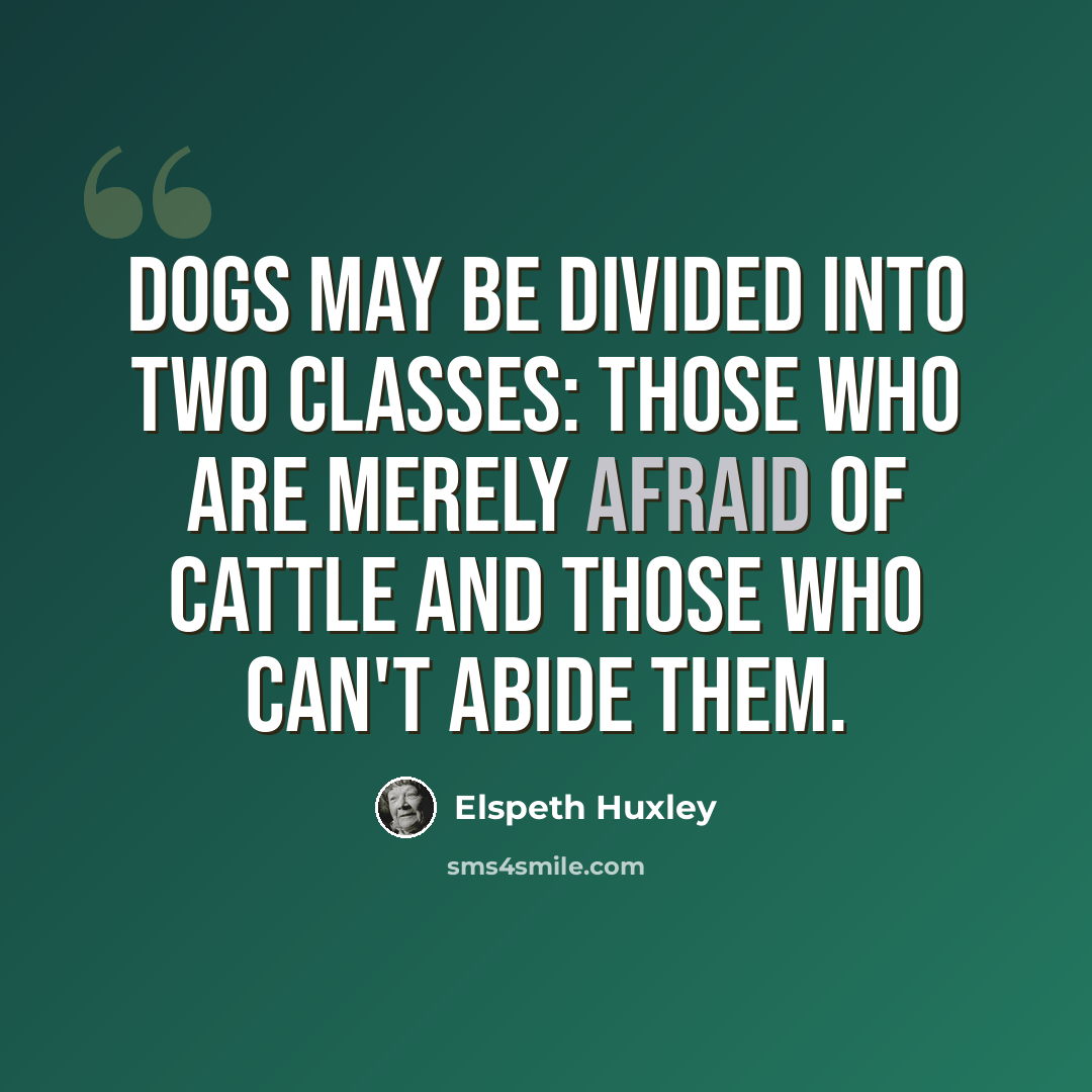 “Dogs may be divided into two classes: those who are merely afraid of cattle and those who can't abide them.” quote by Elspeth Huxley