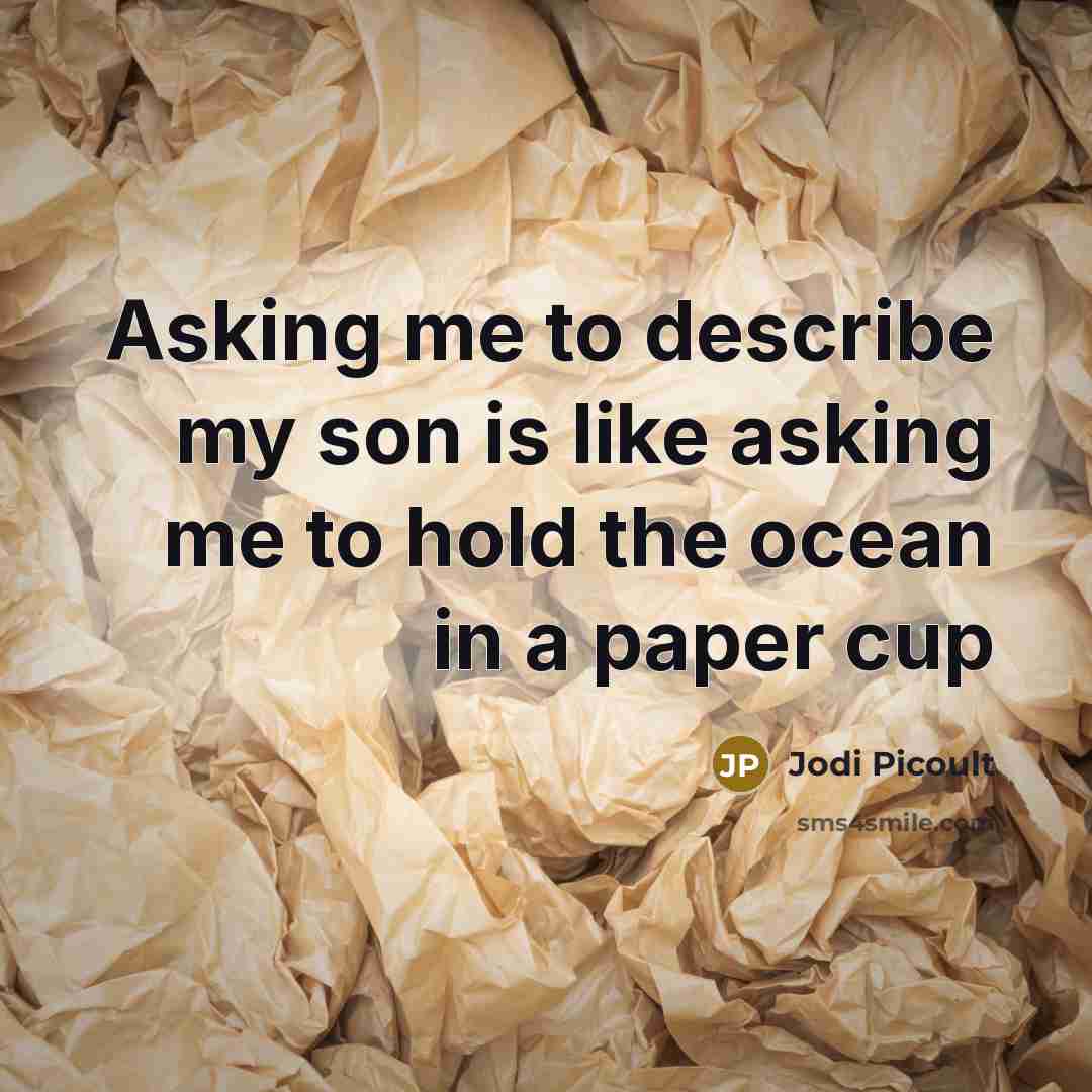 “Asking me to describe my son is like asking me to hold the ocean in a paper cup” quote by Jodi Picoult