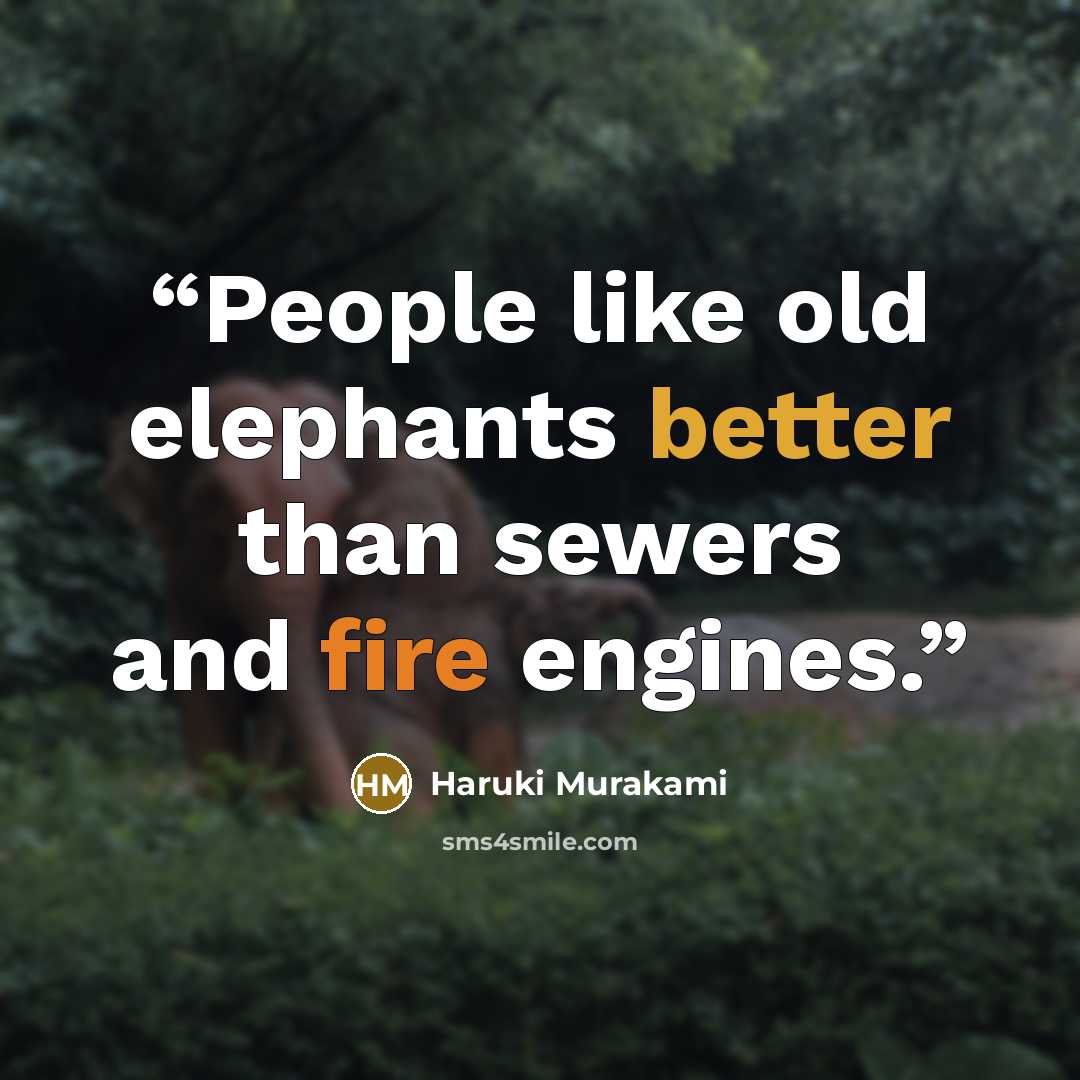 “People like old elephants better than sewers and fire engines.” quote by Haruki Murakami